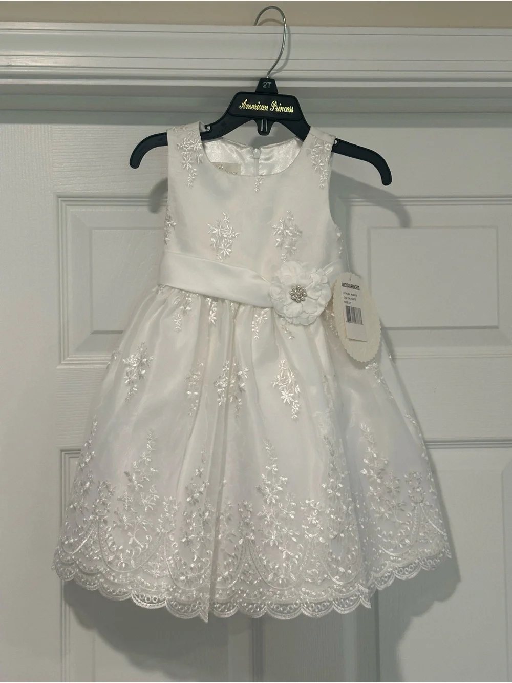American Princess special back